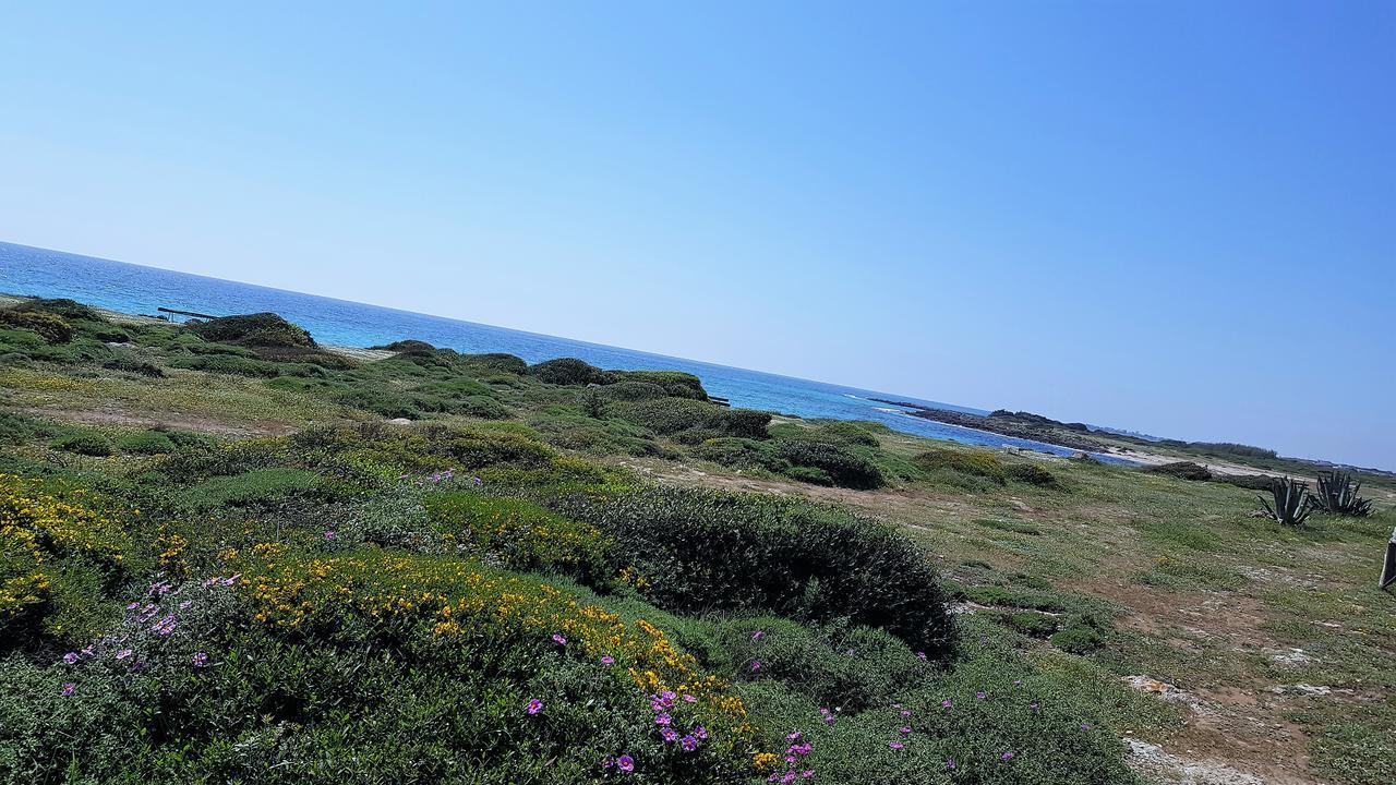 Punta Prosciutto Gma Tourism Villa Porto Cesareo Exterior photo